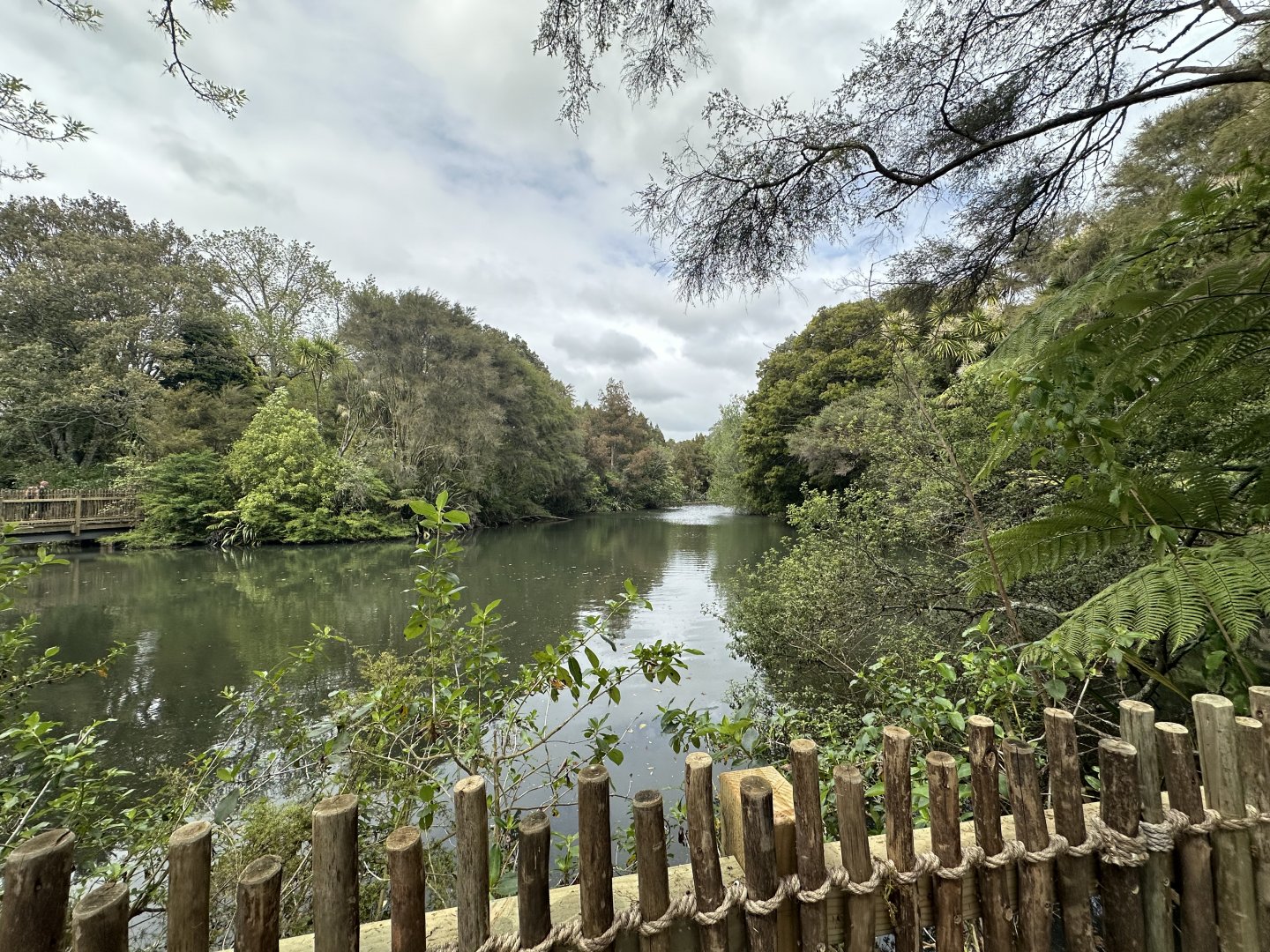New Zealand Wetlands Exhibit