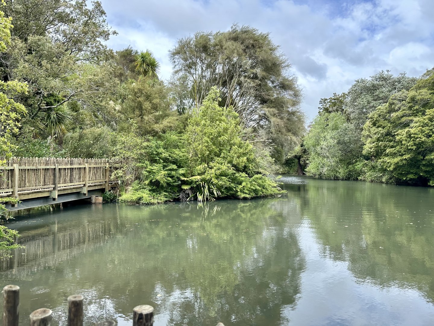 New Zealand Wetlands Exhibit