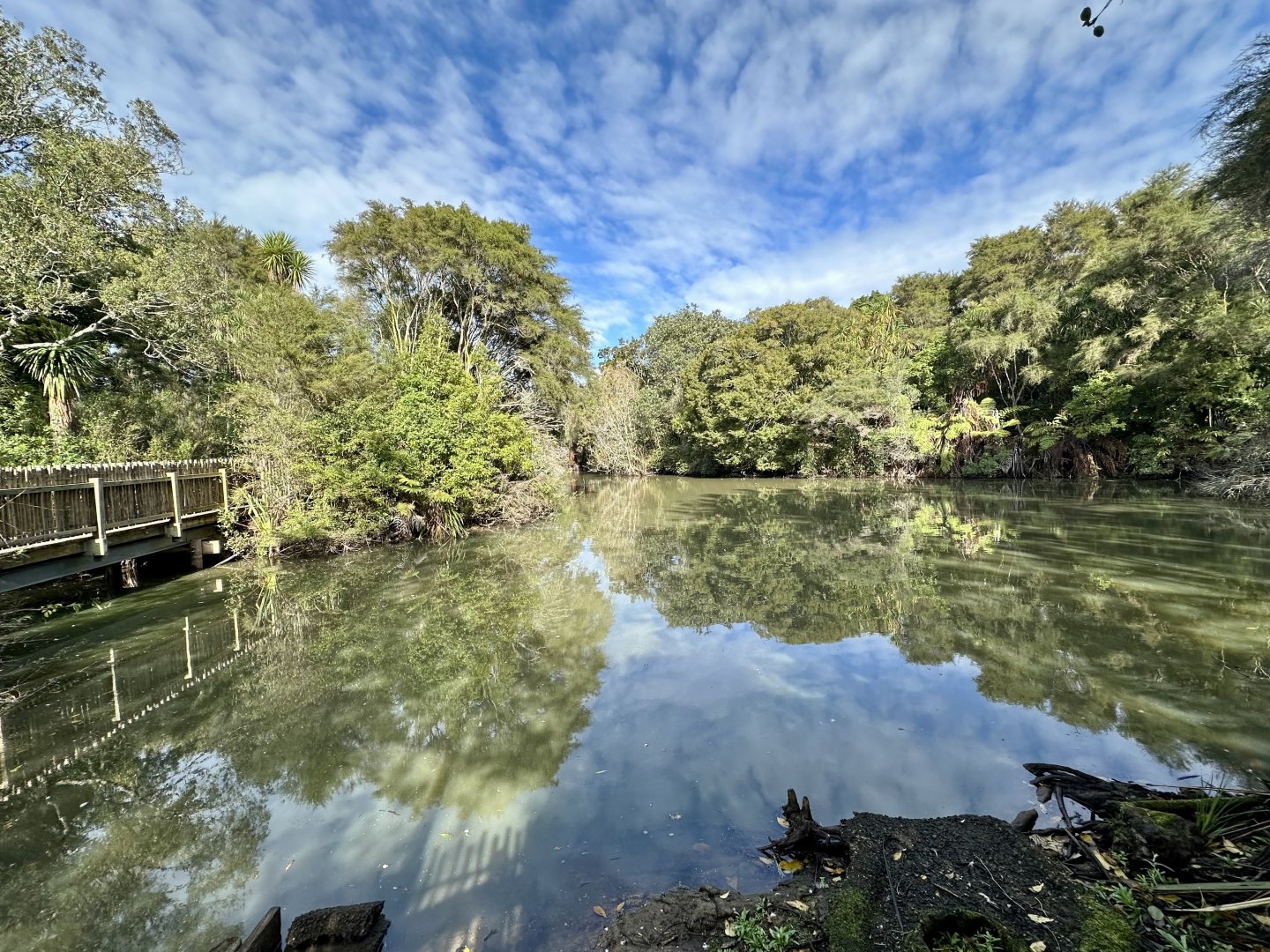 New Zealand Wetlands Exhibit