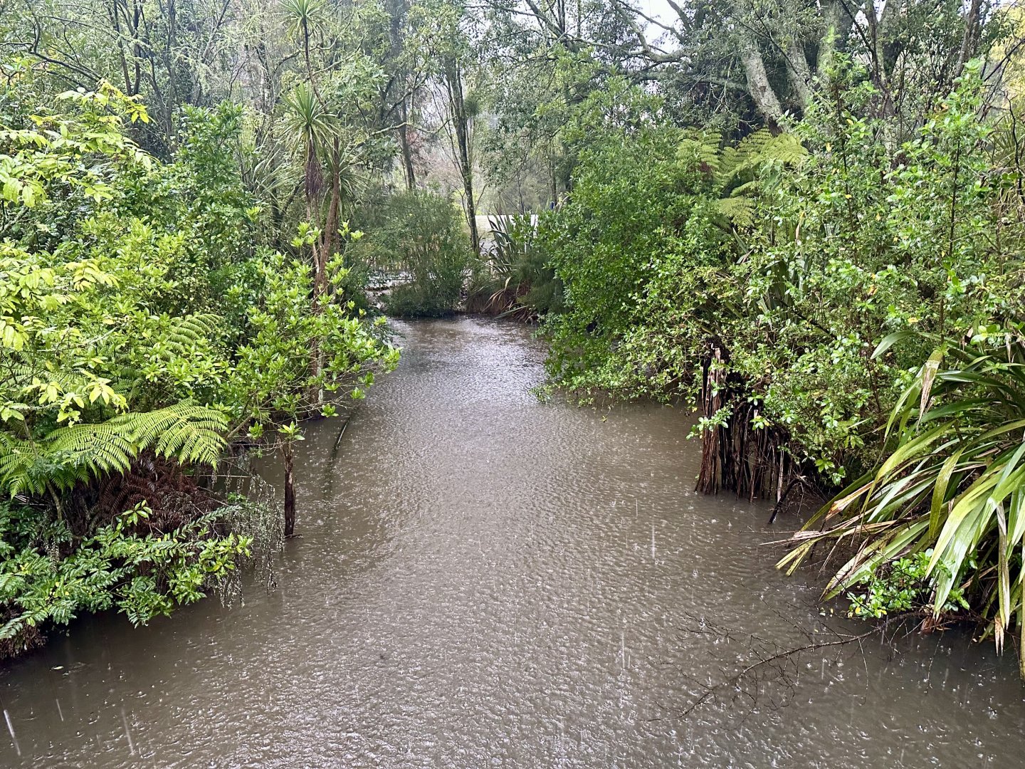New Zealand Wetlands Exhibit