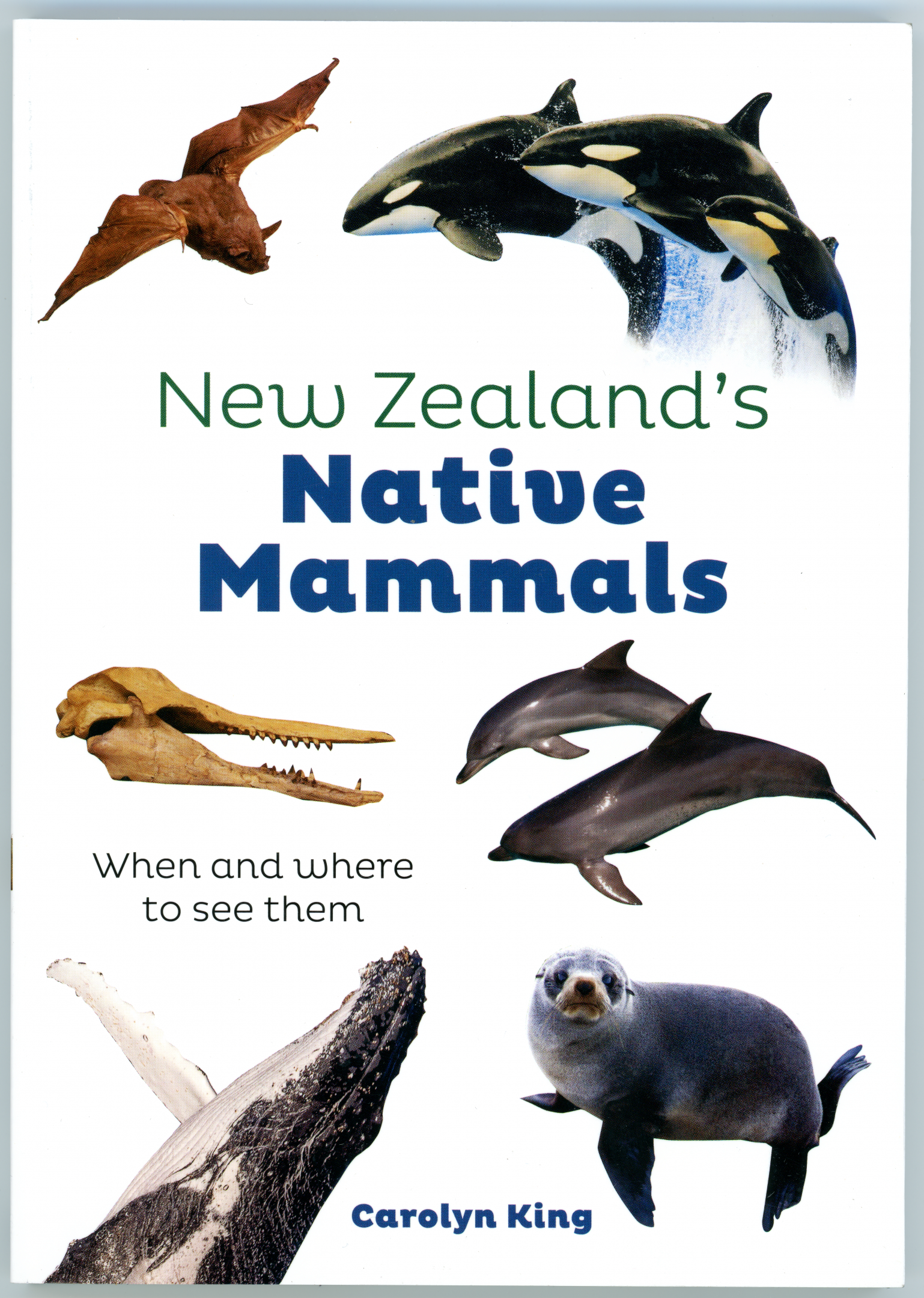 New Zealand's Native Mammals