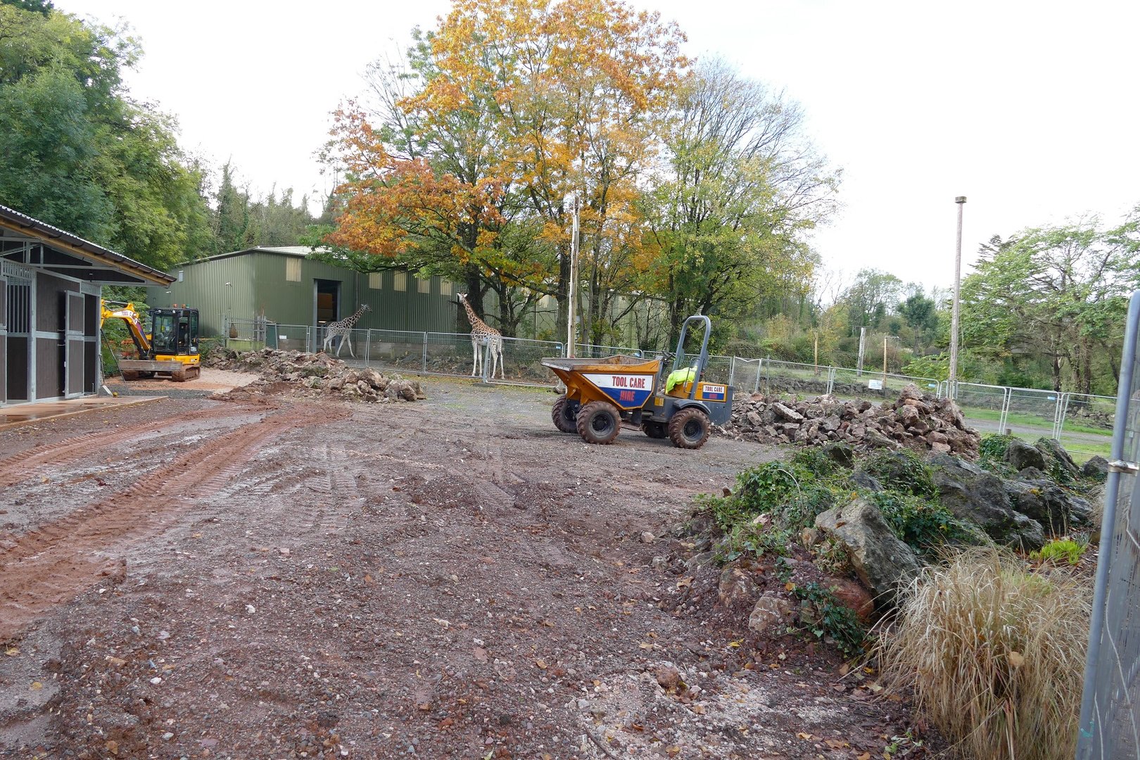 New zebra enclosure developments, October 2022