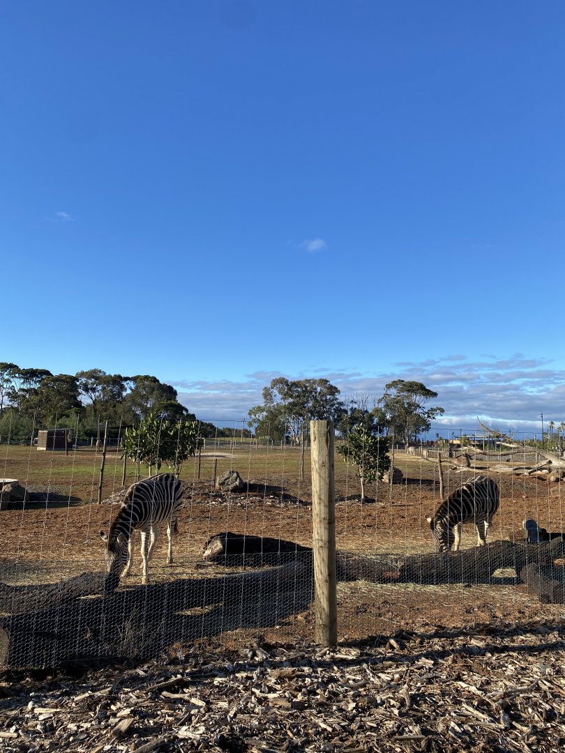 New Zebra Enclosure - Waterhole Trail