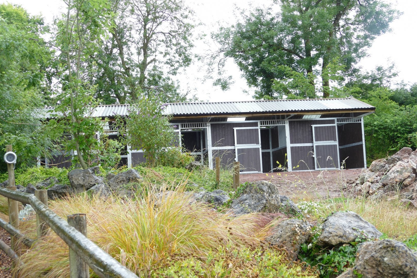 New zebra stables, June 2022