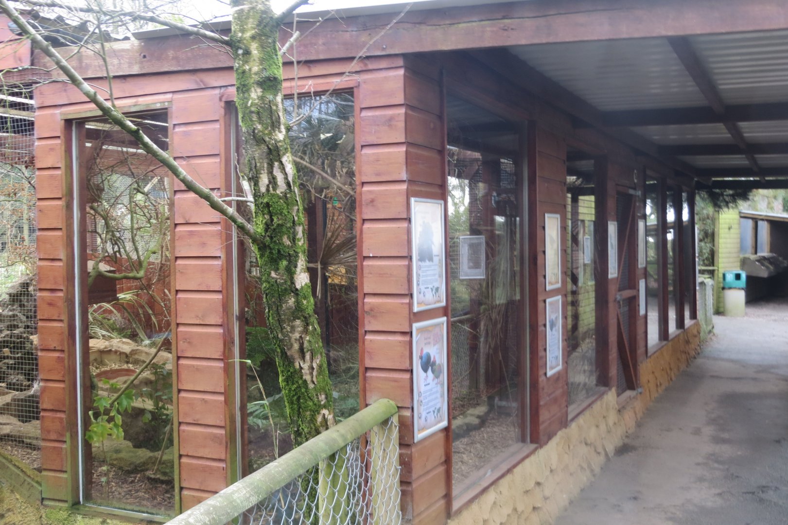 Newer aviaries 040319