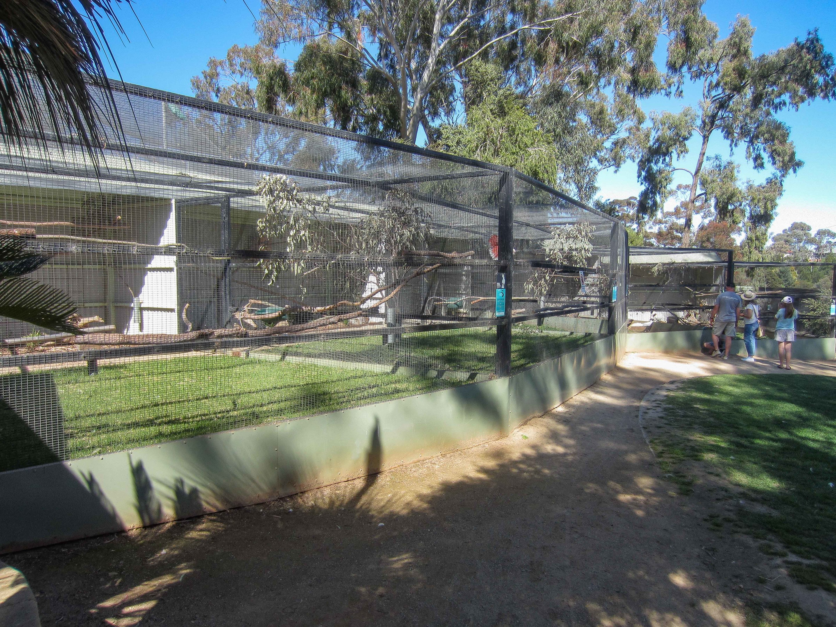 Newer Parrot aviaries