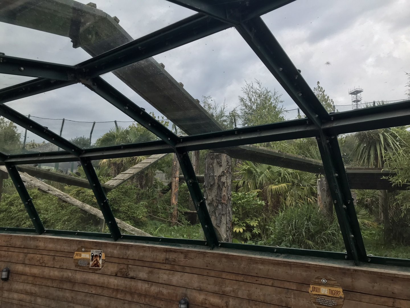 Newer Sumatran tiger enclosure (4)