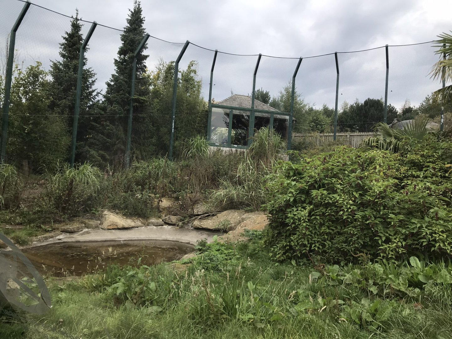 Newer Sumatran tiger enclosure (5)