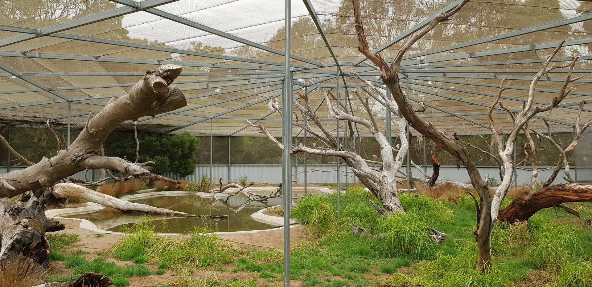 Newest wet land bird avairy