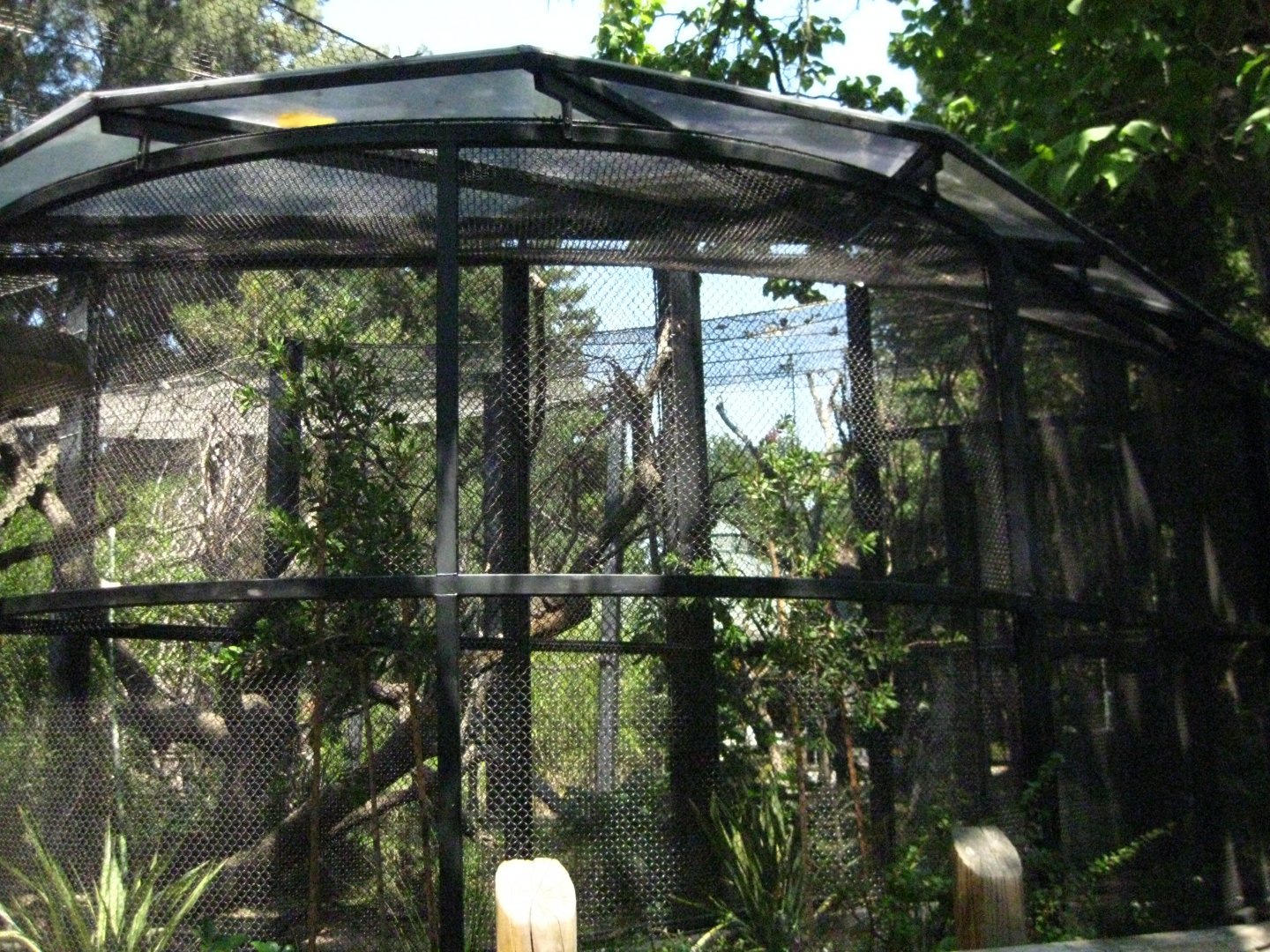 Newly Built Aviary