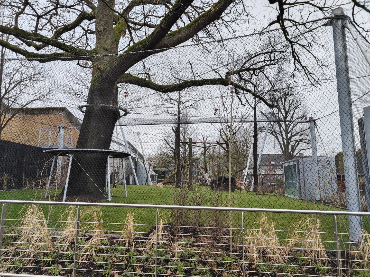 Newly built chimpanzee outdoor enclosure