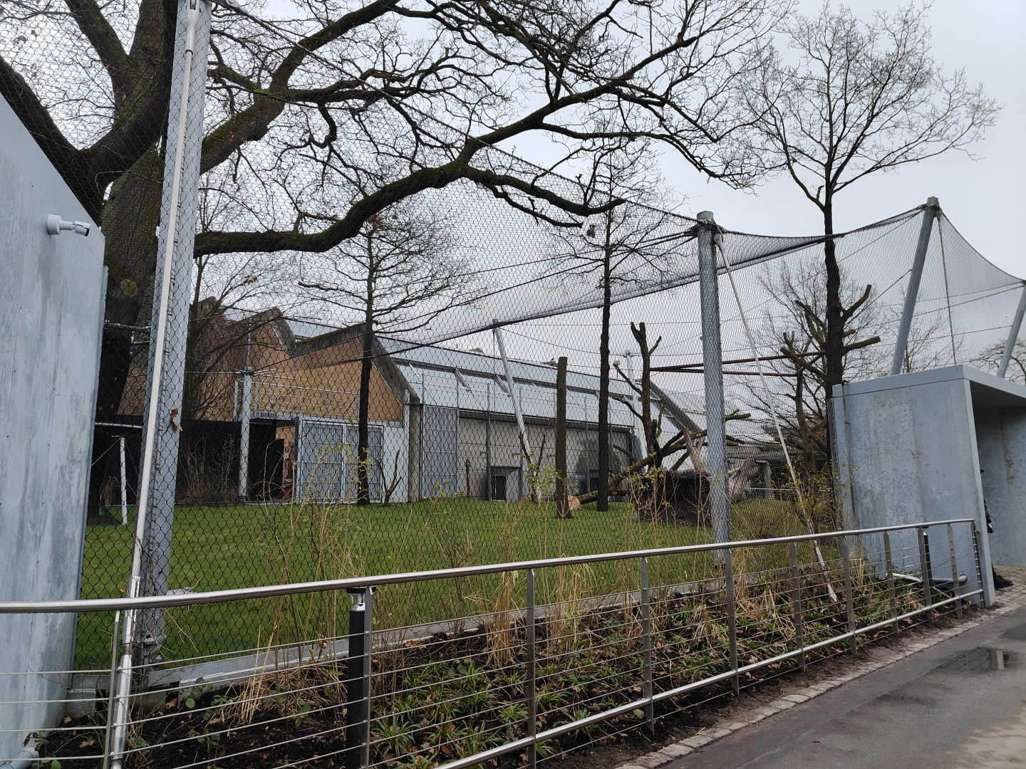 Newly built chimpanzee outdoor enclosure
