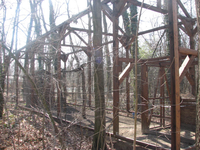 Newly built!!! Crowned crane prison