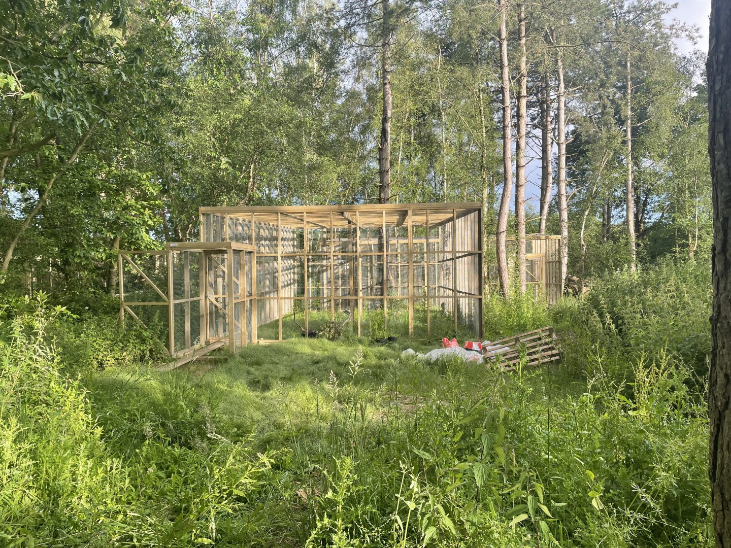 Newly Constructed Enclosure