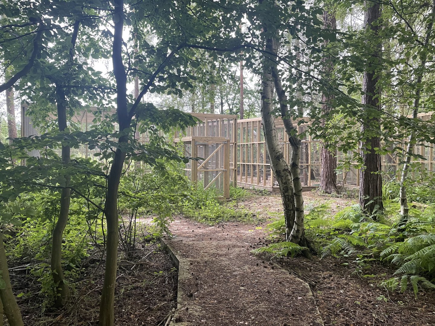 Newly Constructed Enclosures