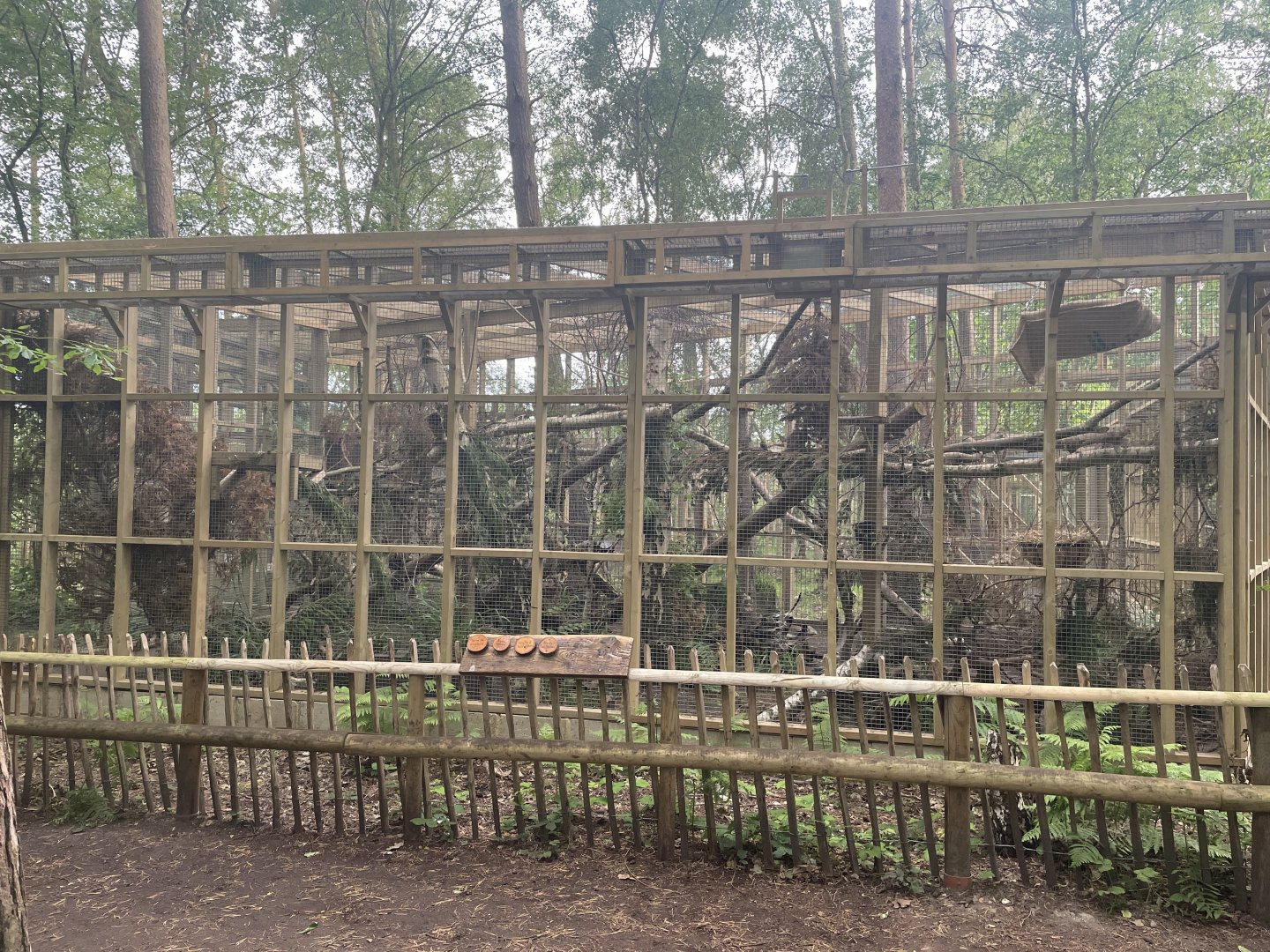 Newly Constructed Pine Marten Enclosure.