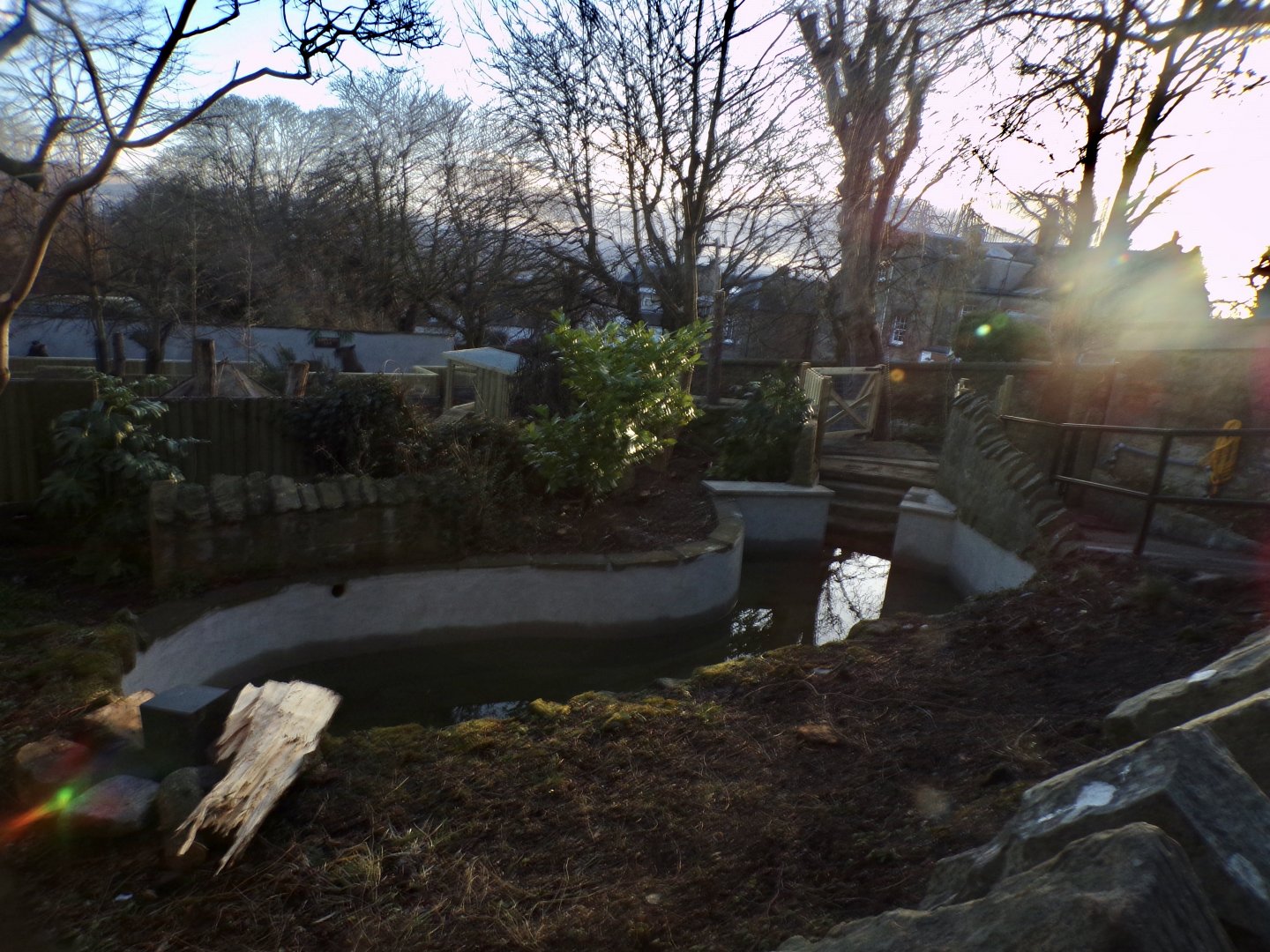 Newly done capybara pool 1.3.25