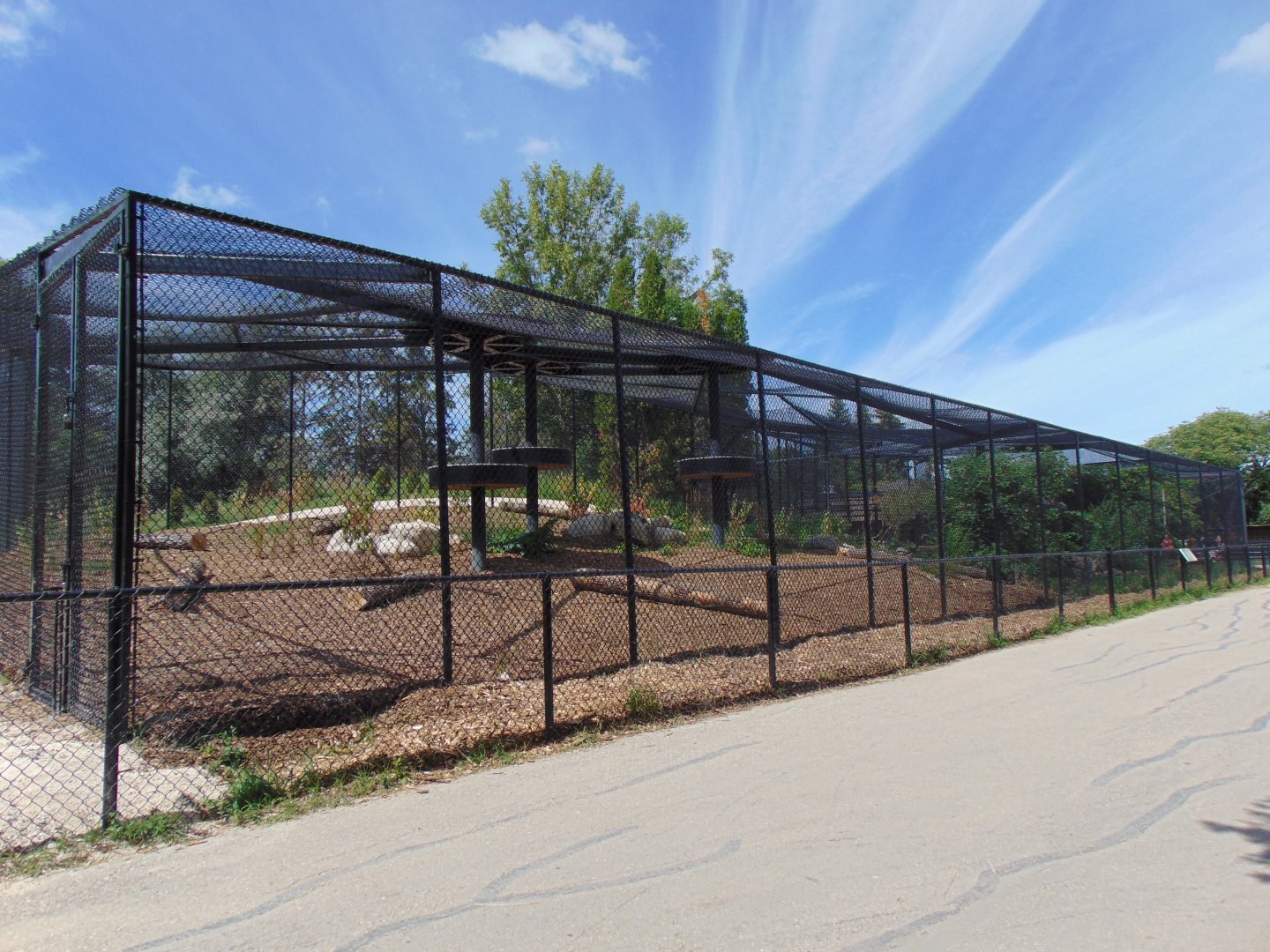 Newly expanded Cougar habitat (2022)