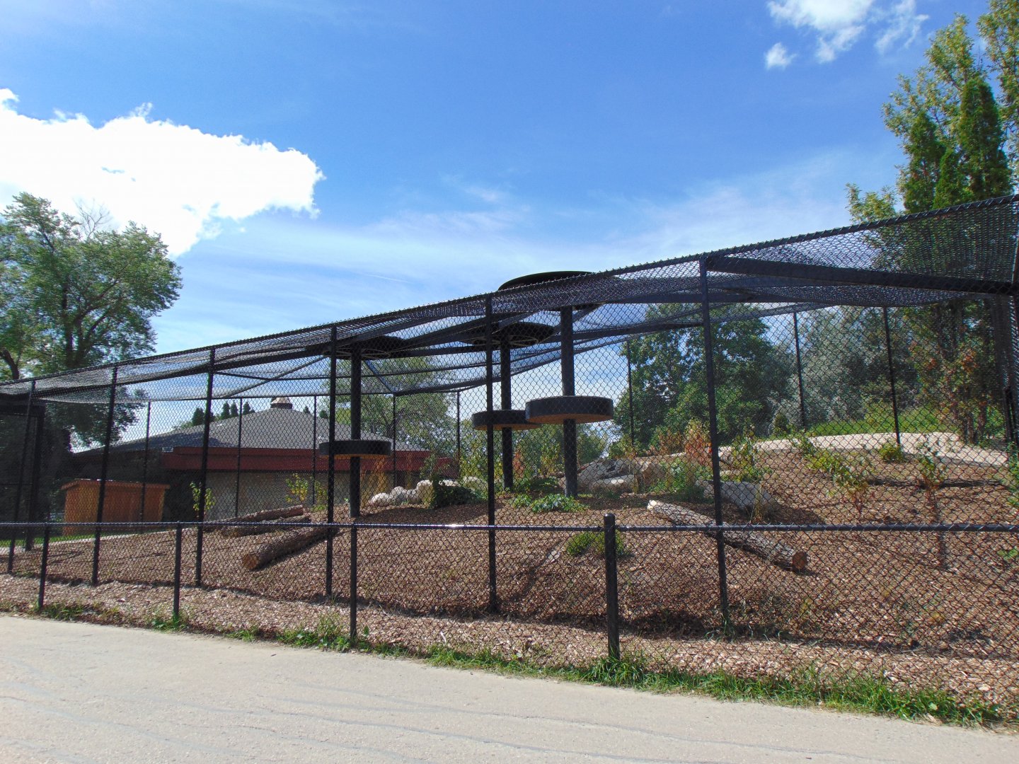 Newly expanded Cougar habitat (2022)