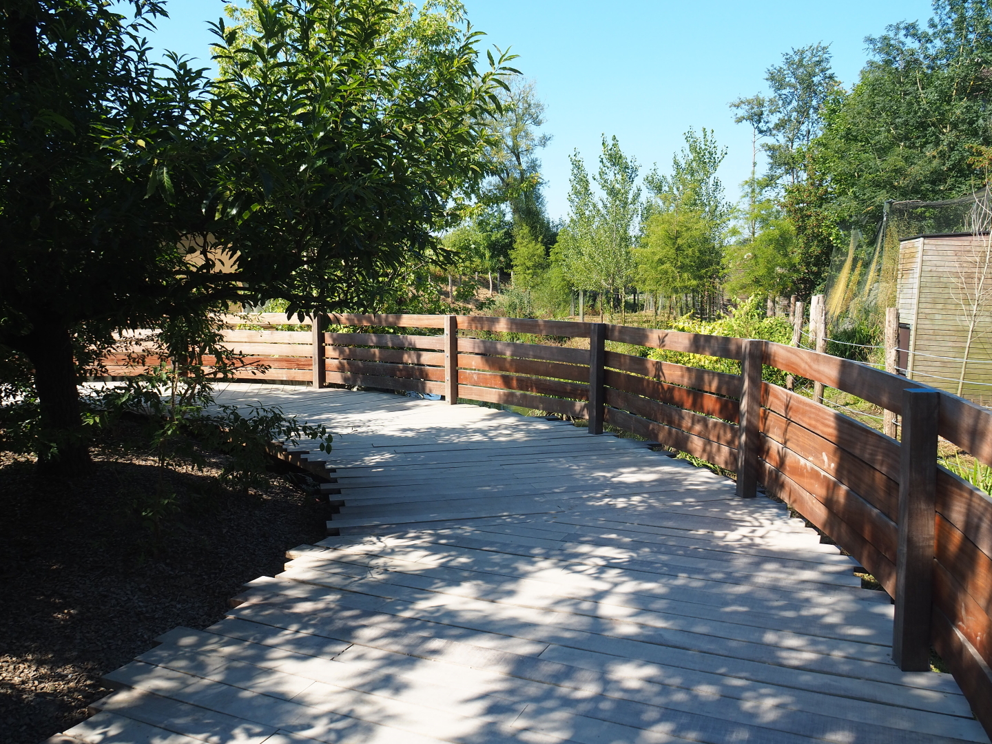Newly finished viewing area for new exhibit between The Last Frontier and the raptor aviaries, 2021-09-03