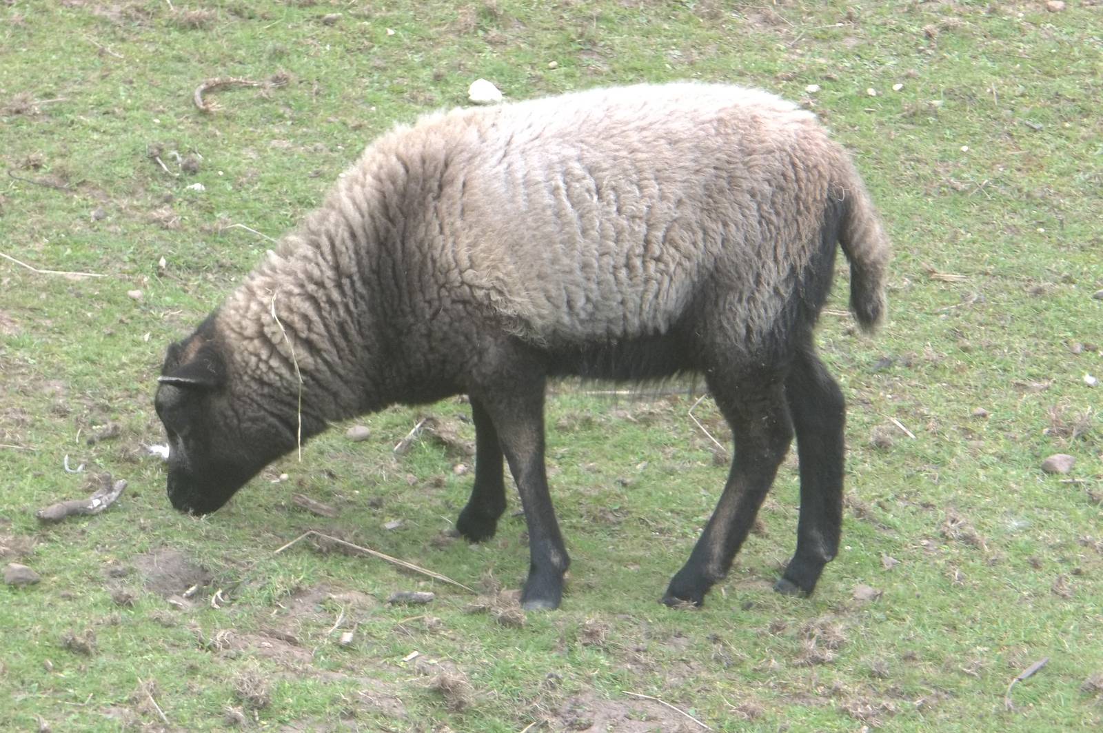 Newly named Coco, 31st July 2016