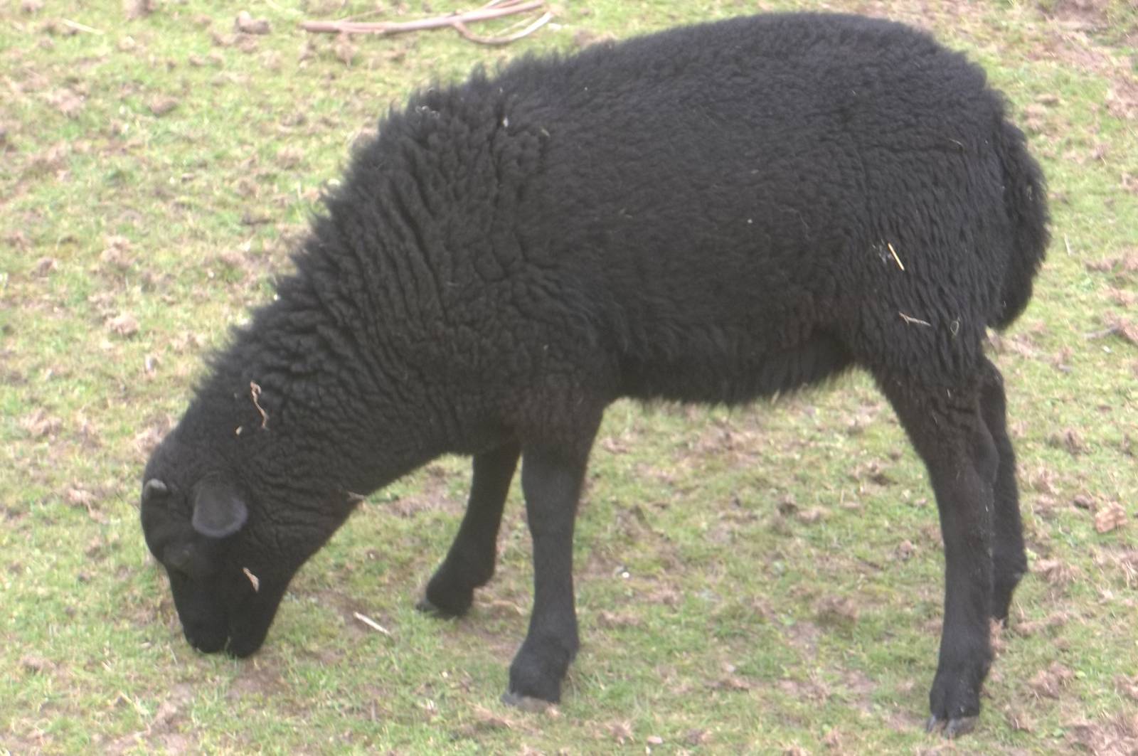 Newly named Larry, 31st July 2016