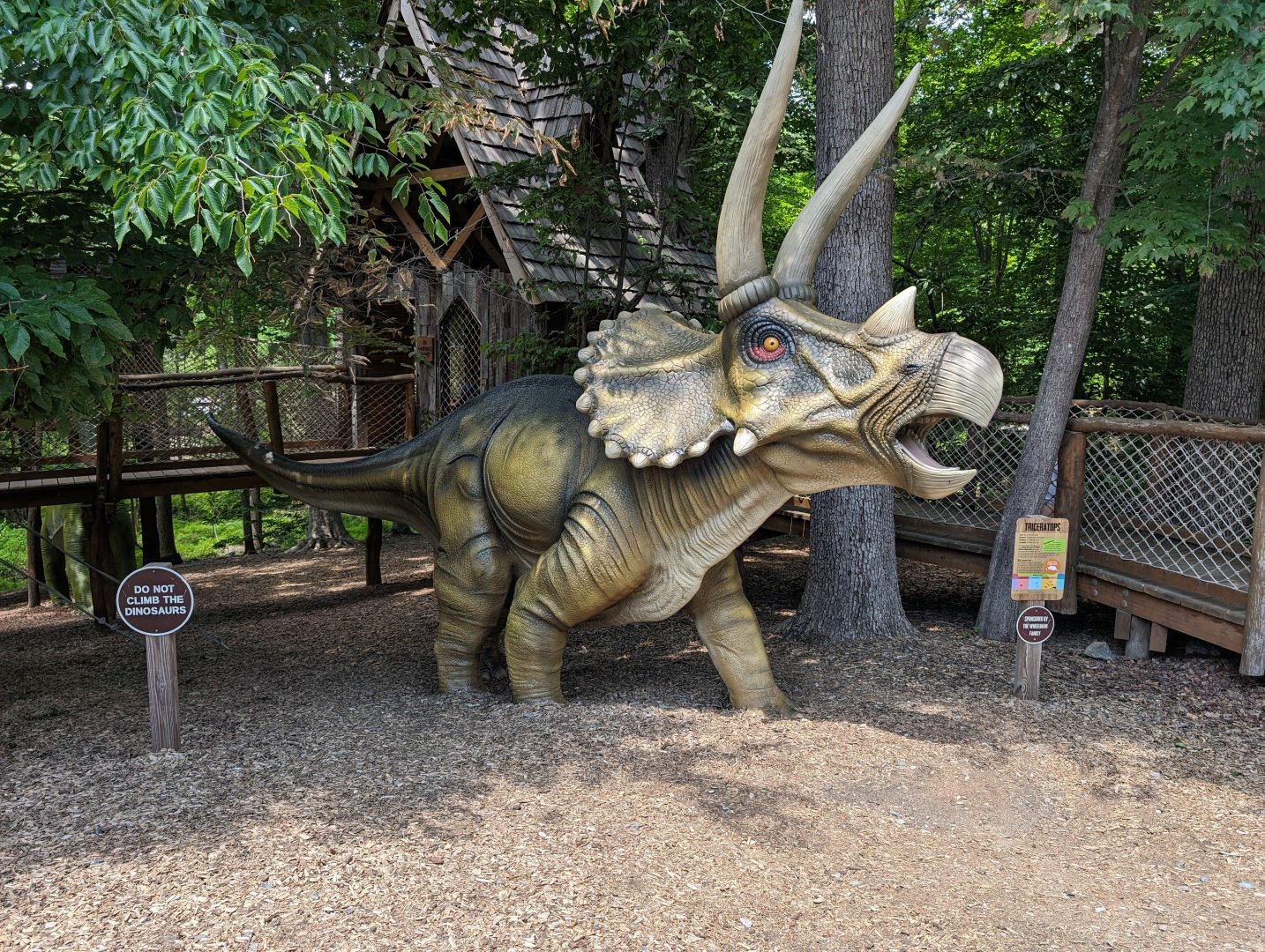 Newly painted Triceratops