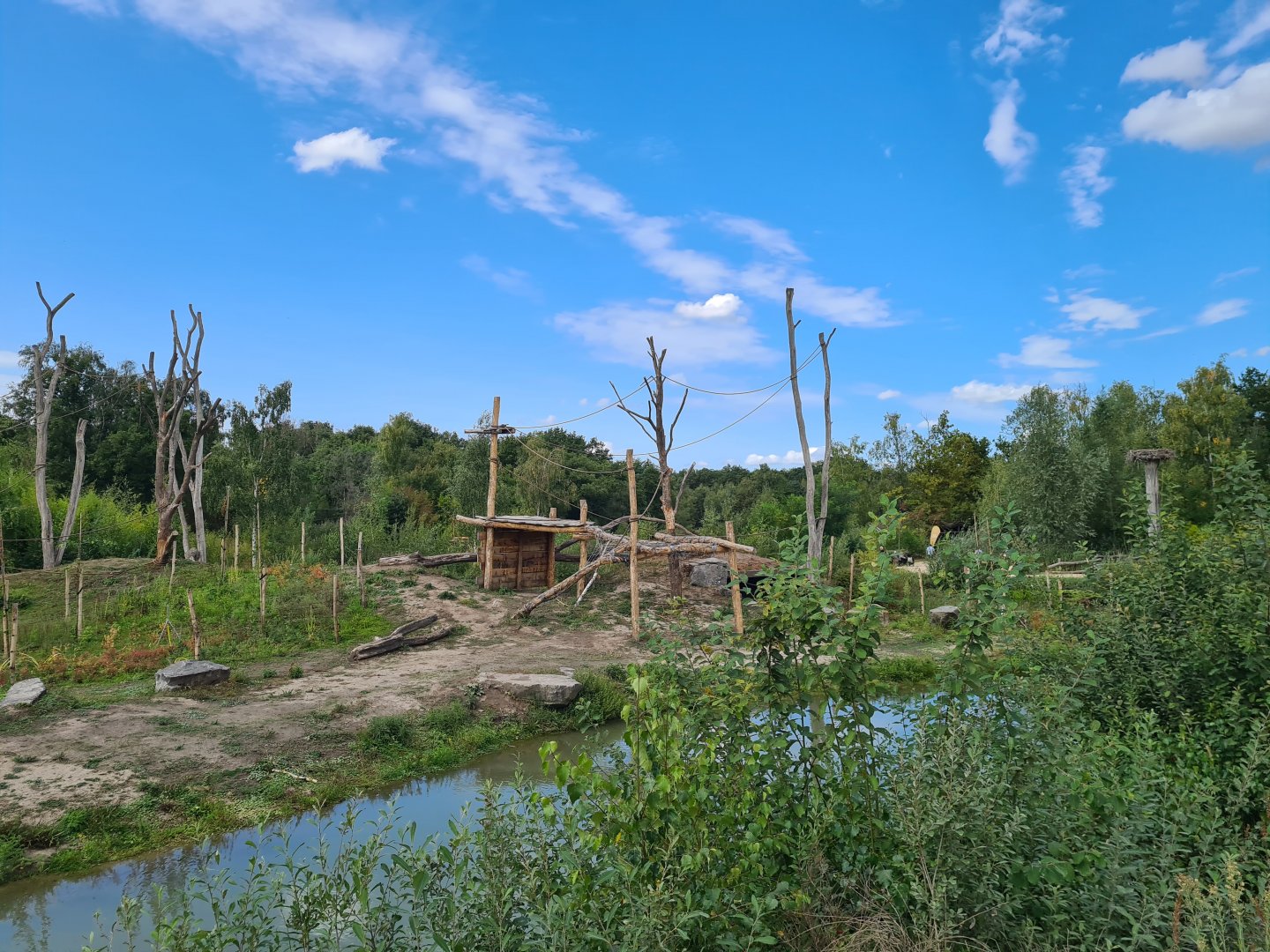 Newly refurbished Gorilla enclosure
