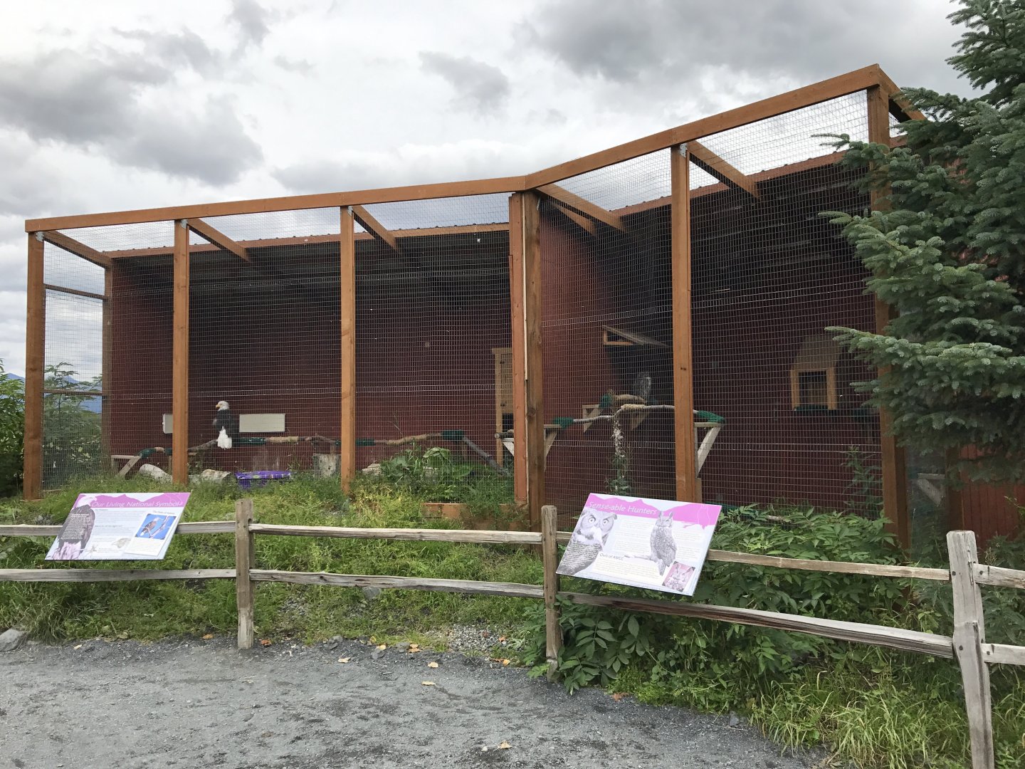 Newly renovated Bald Eagle and Great Horned Owl Exhibits.