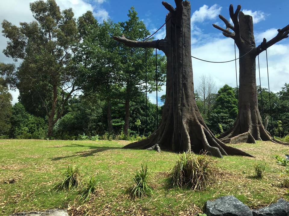 Newly Renovated Orangutan Forest
