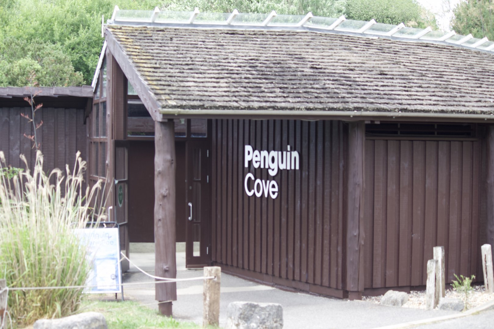 Newly Renovated Penguin Cove