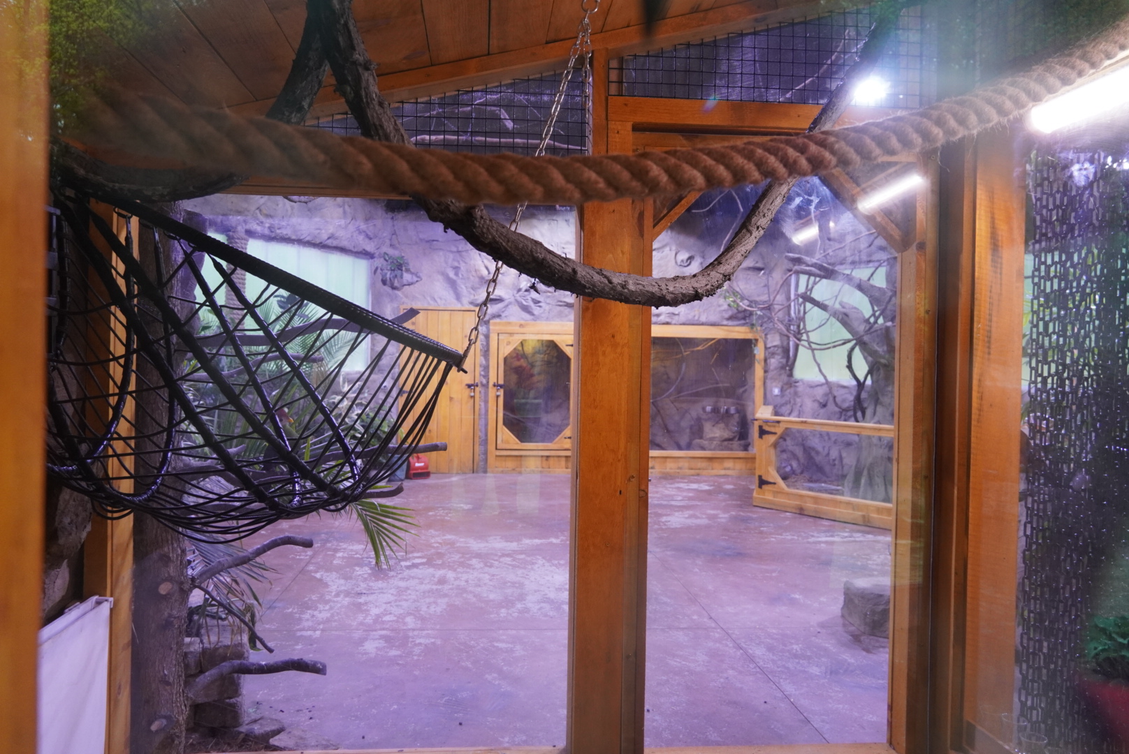 Newly renovated Rainforest building