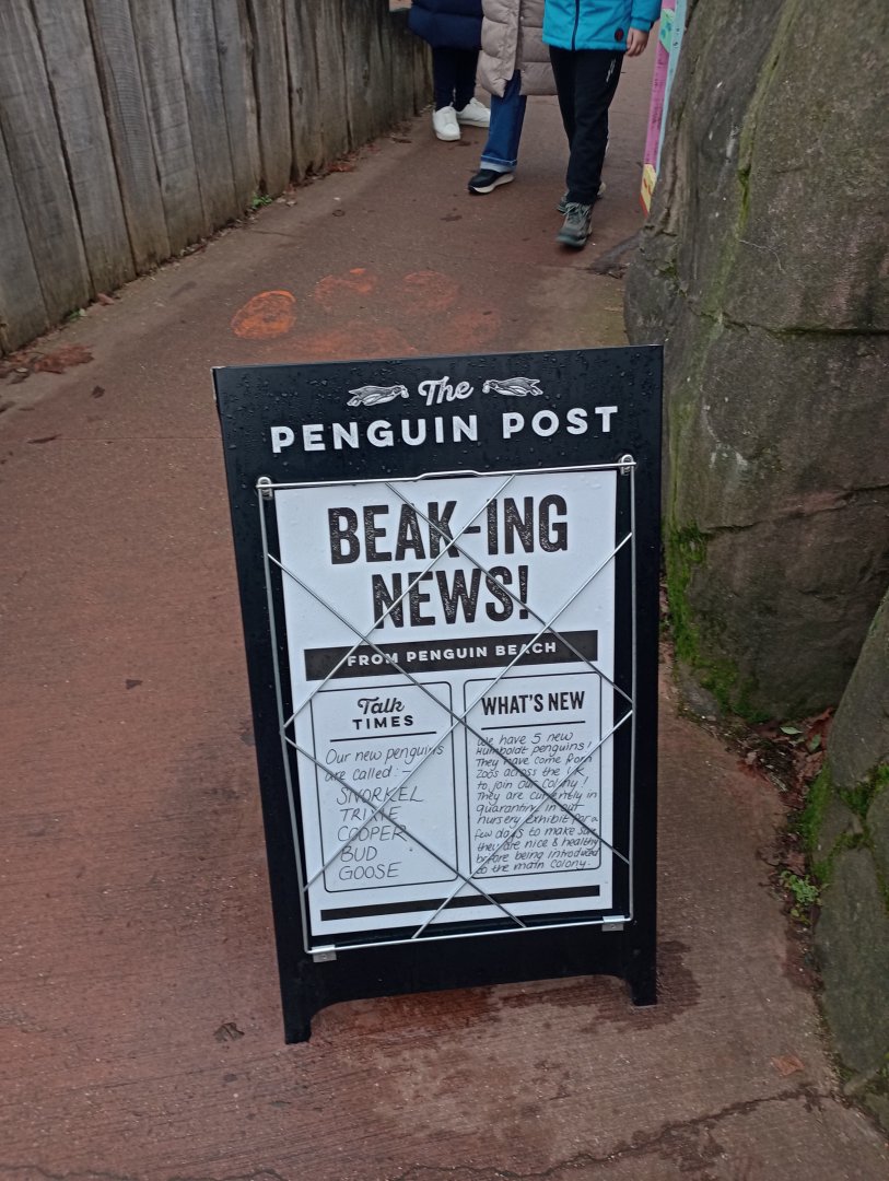 News post at Penguin Beach