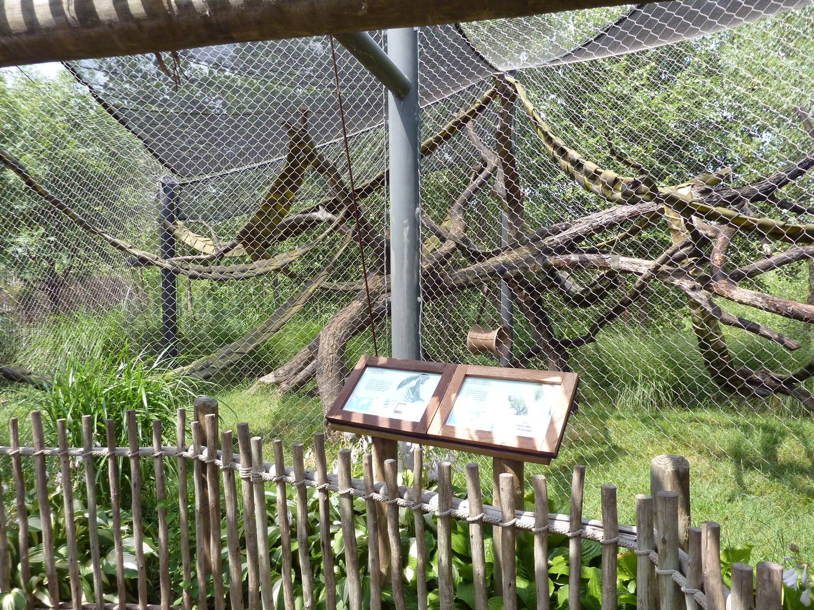 Nganda Village - Colobus/DeBrazza Monkey Enclosure