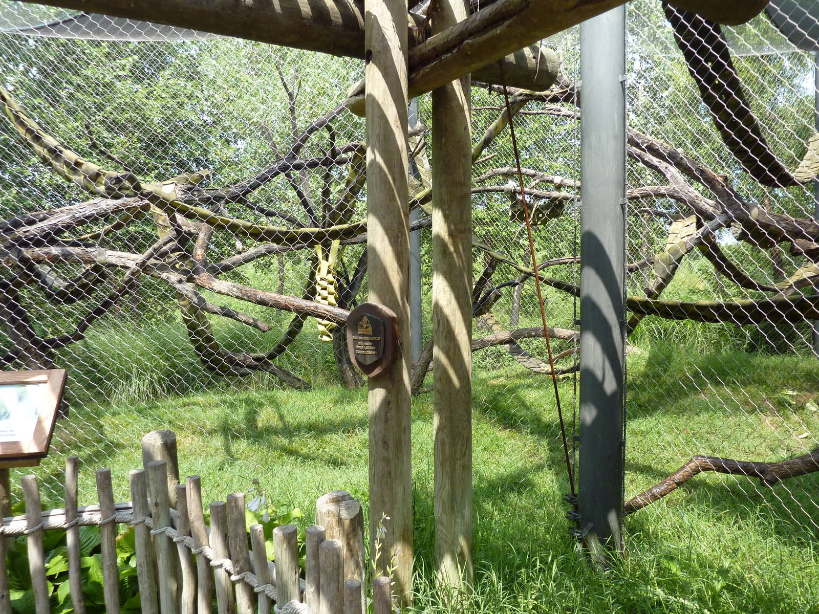 Nganda Village - Colobus/DeBrazza Monkey Enclosure