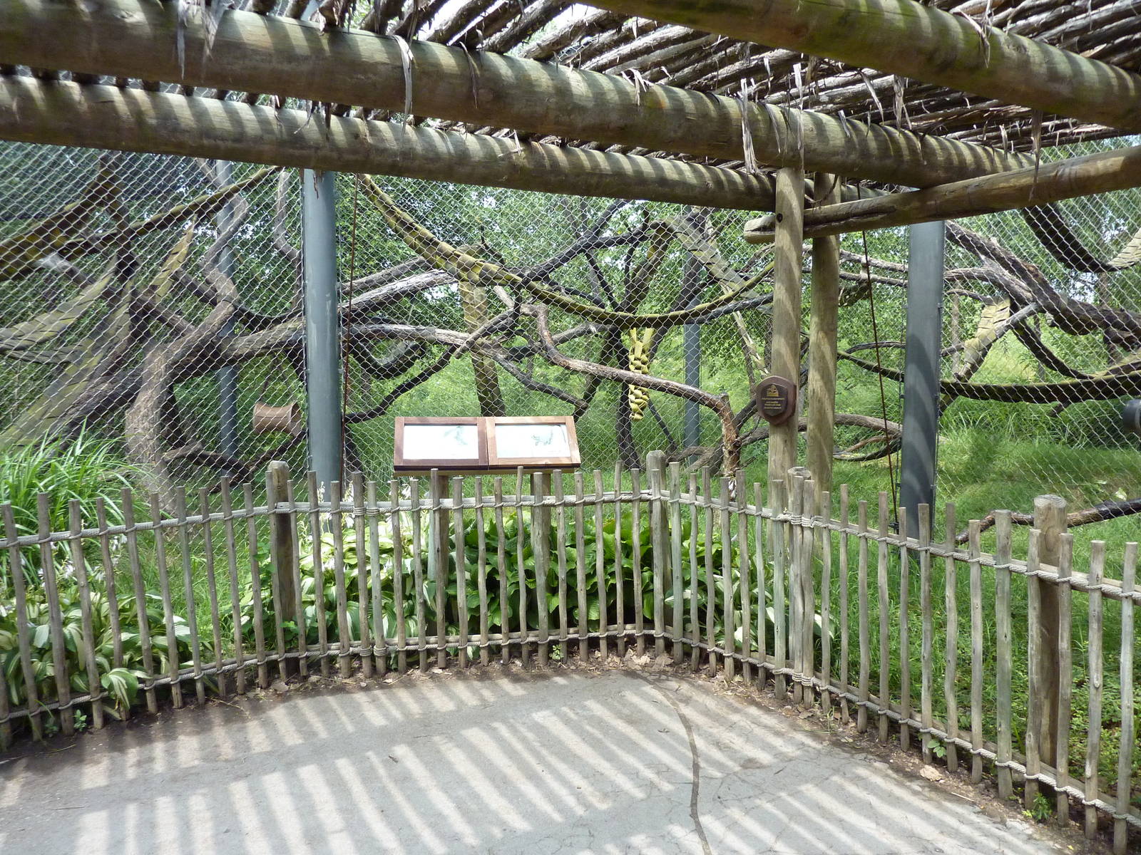 Nganda Village - DeBrazza/Colobus Monkey Enclosure