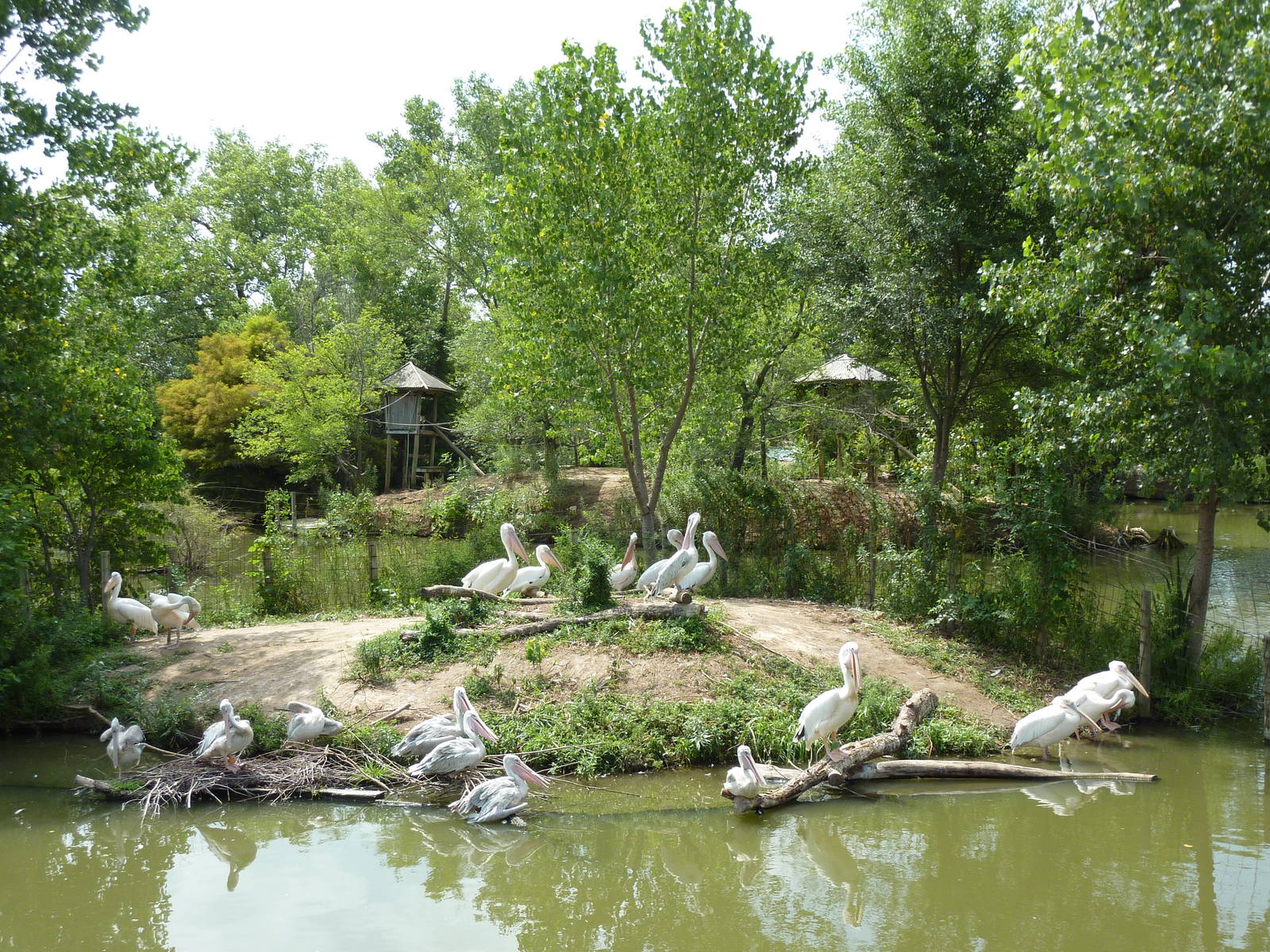 Nganda Village - Pelican Island