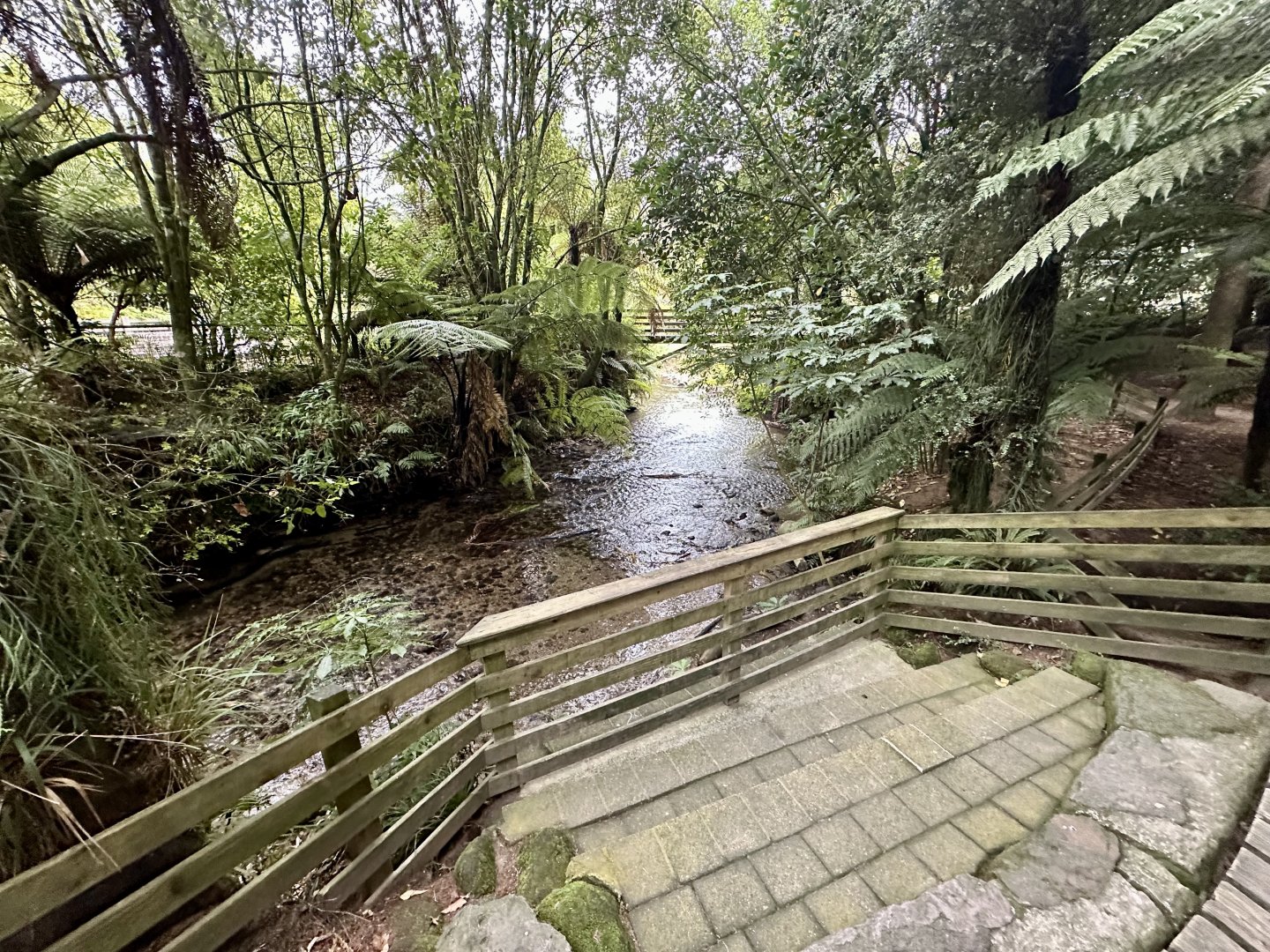 Ngongotahā Stream - Trout Spawning Area
