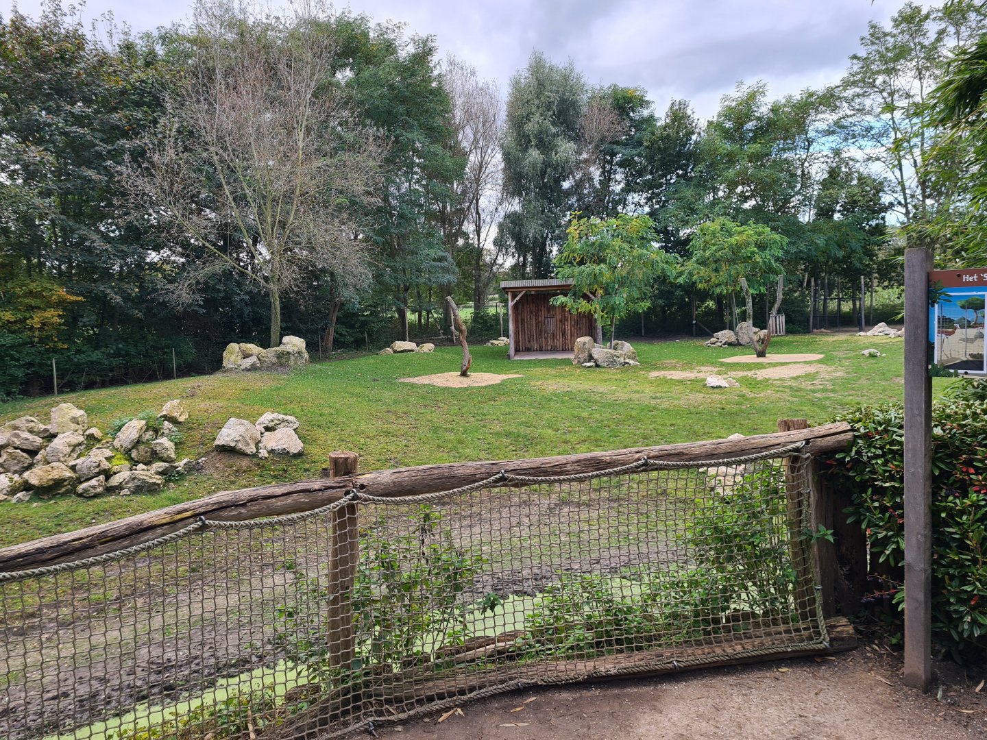 Ngorongo - Addra gazelle and Common ostrich habitat