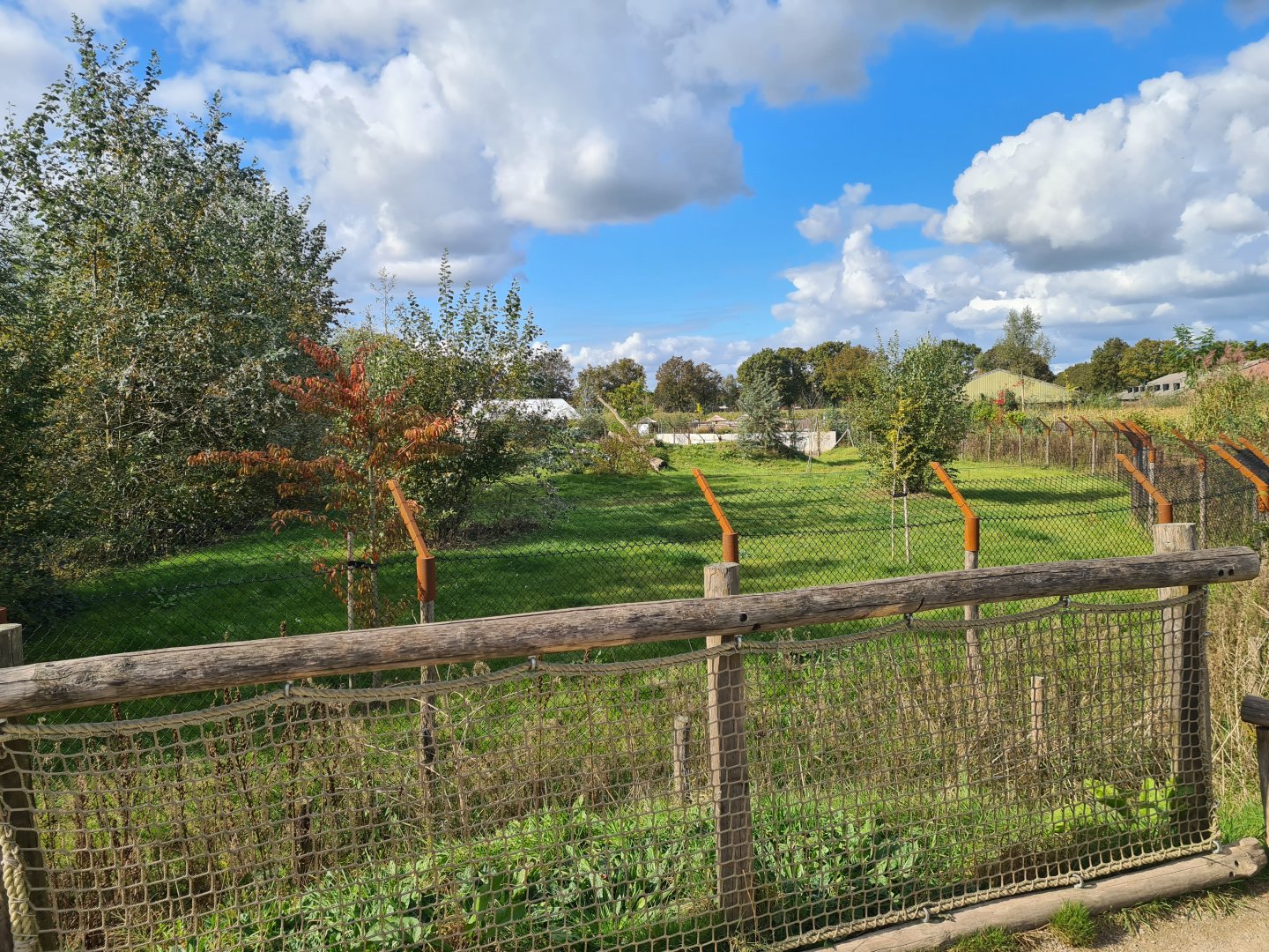 Ngorongo - African wild dog enclosure