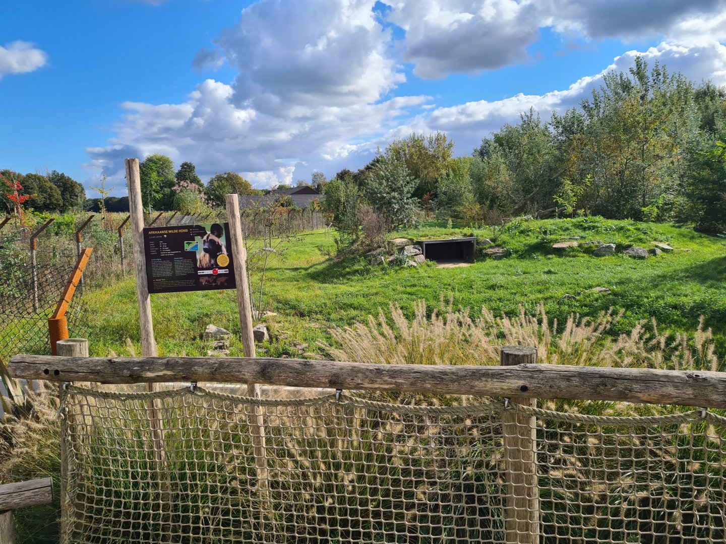 Ngorongo - African wild dog habitat