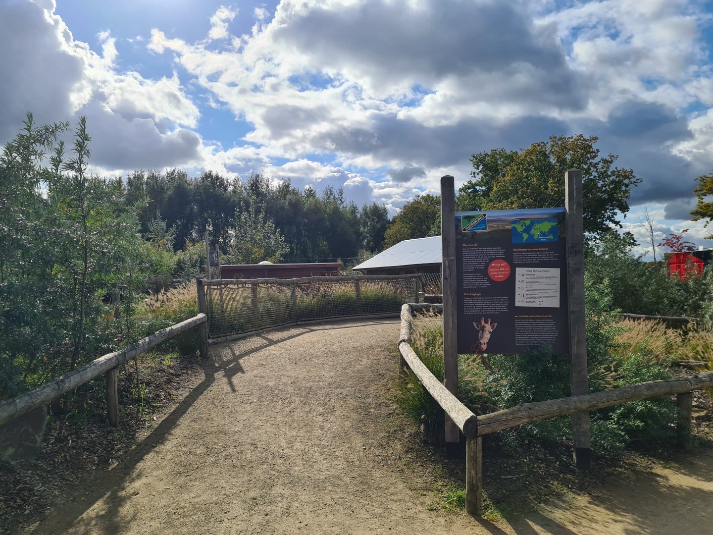 Ngorongo - African wild dog viewing platform
