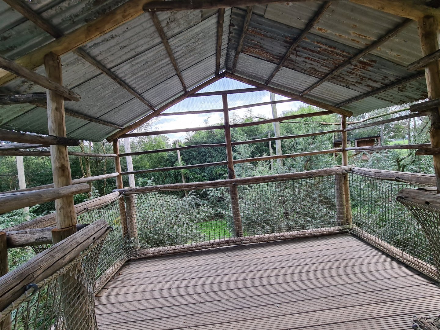 Ngorongo - Aviary viewing point