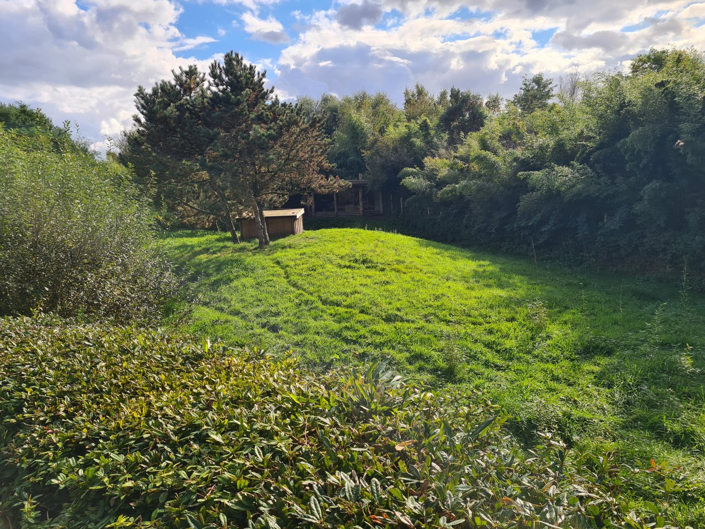 Ngorongo - Cheetah enclosure