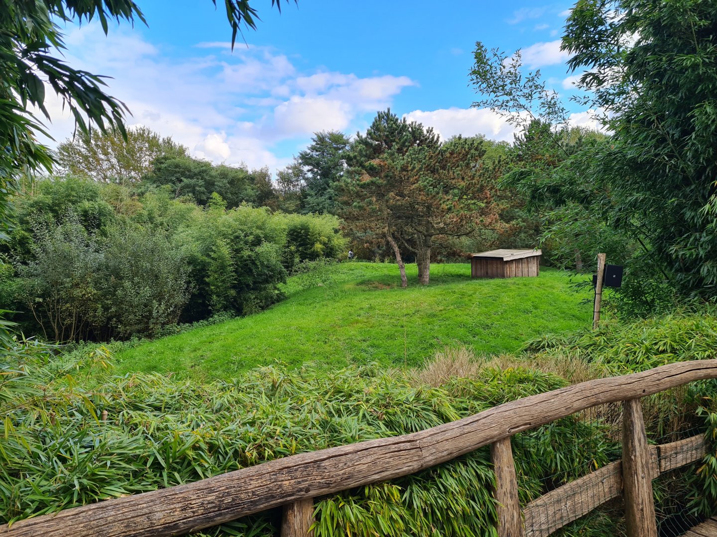 Ngorongo - Cheetah habitat