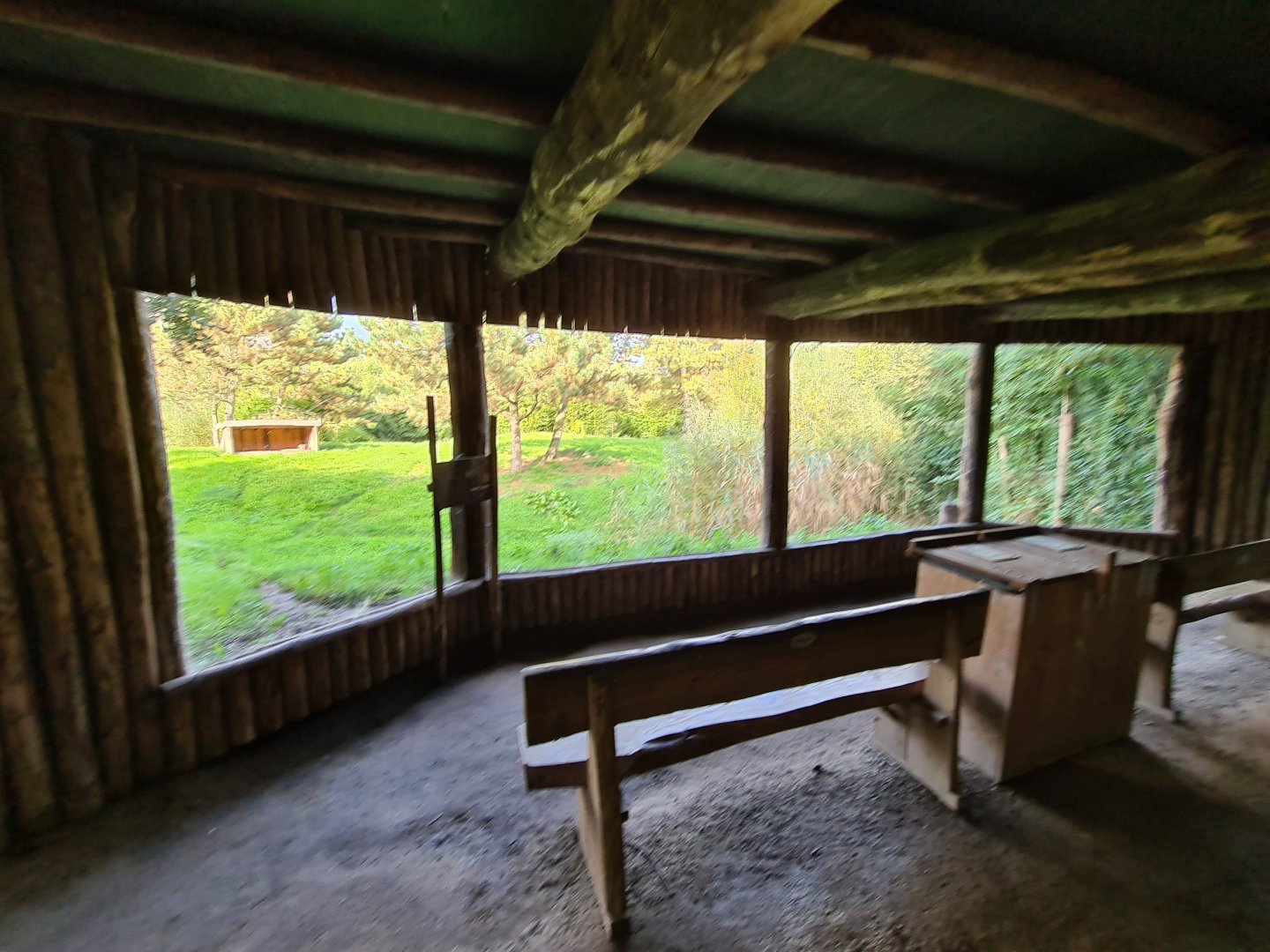 Ngorongo - Cheetah viewing hut