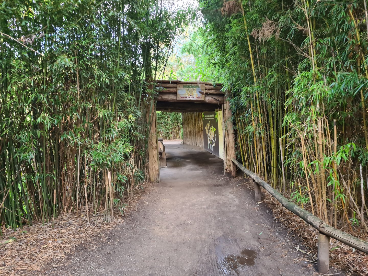 Ngorongo - Cheetah viewing point