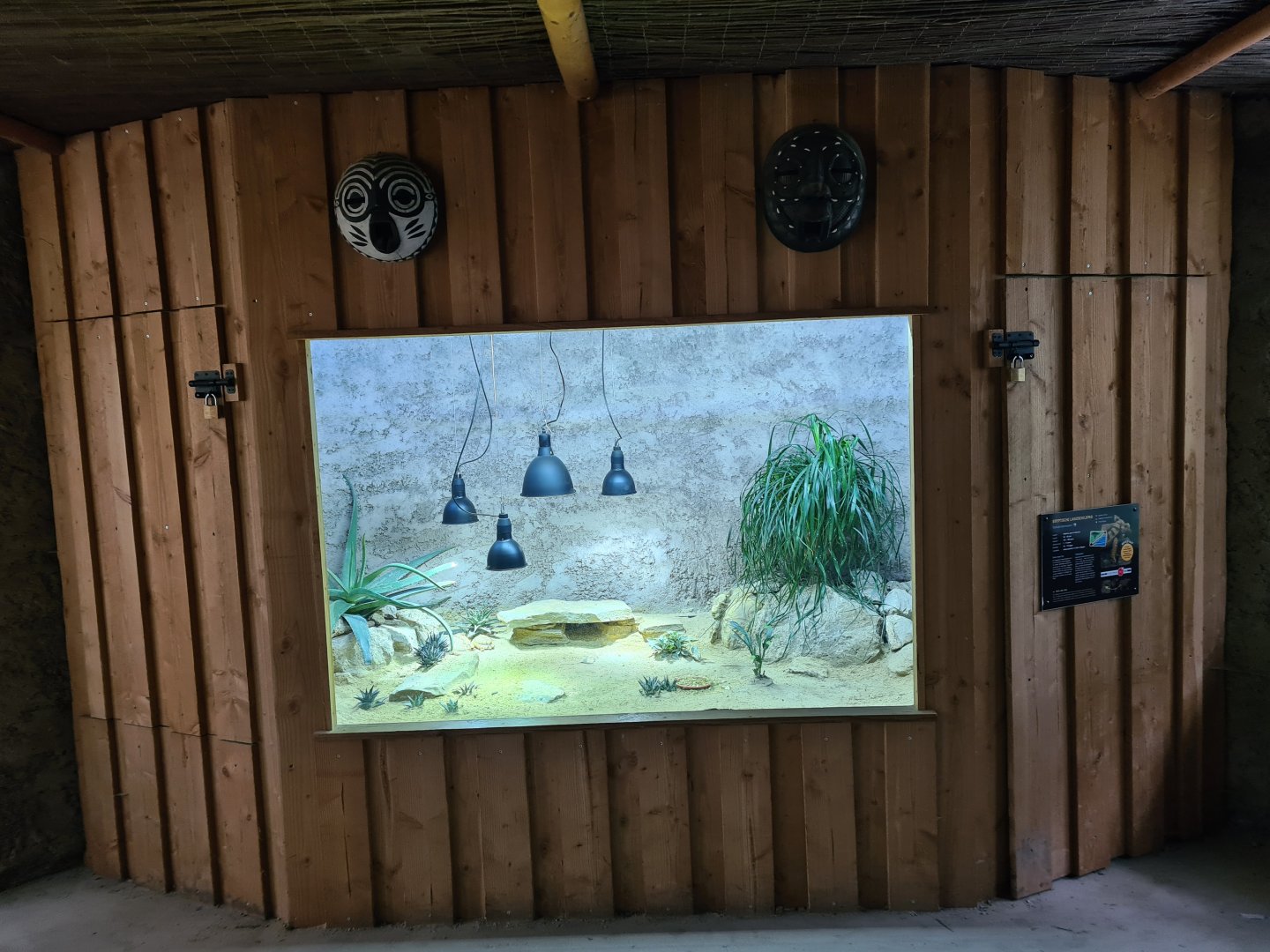 Ngorongo - Egyptian tortoise terrarium in Giraffe barn