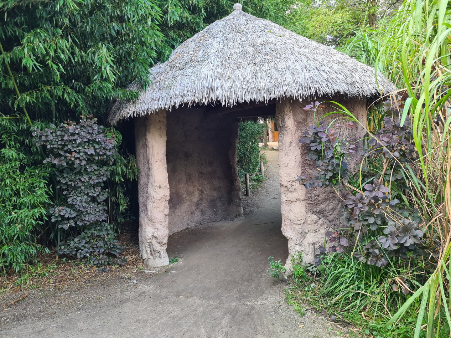 Ngorongo - Path to Giraffe stables and aviary