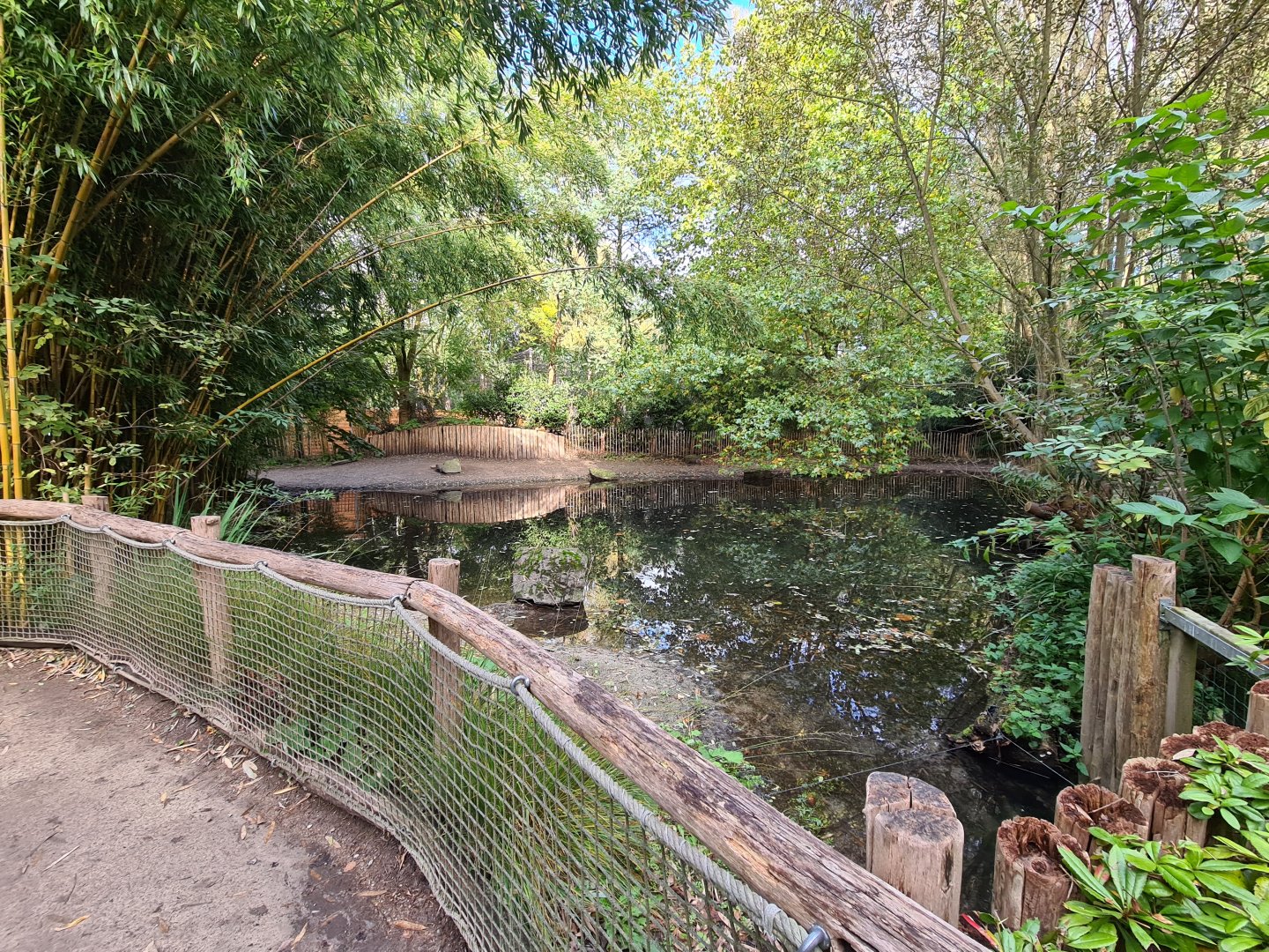 Ngorongo - Pygmy hippo habitat